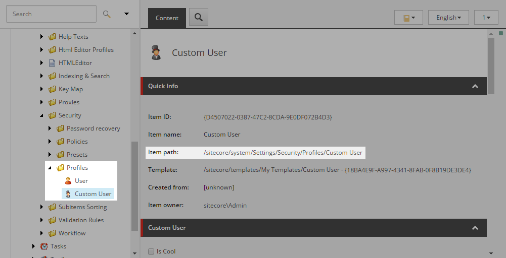 Custom profile item in Core database