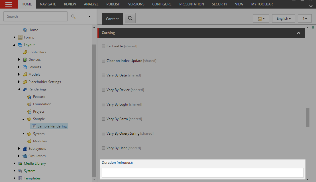 Cache Duration setting field.